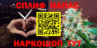 дмт Будённовск