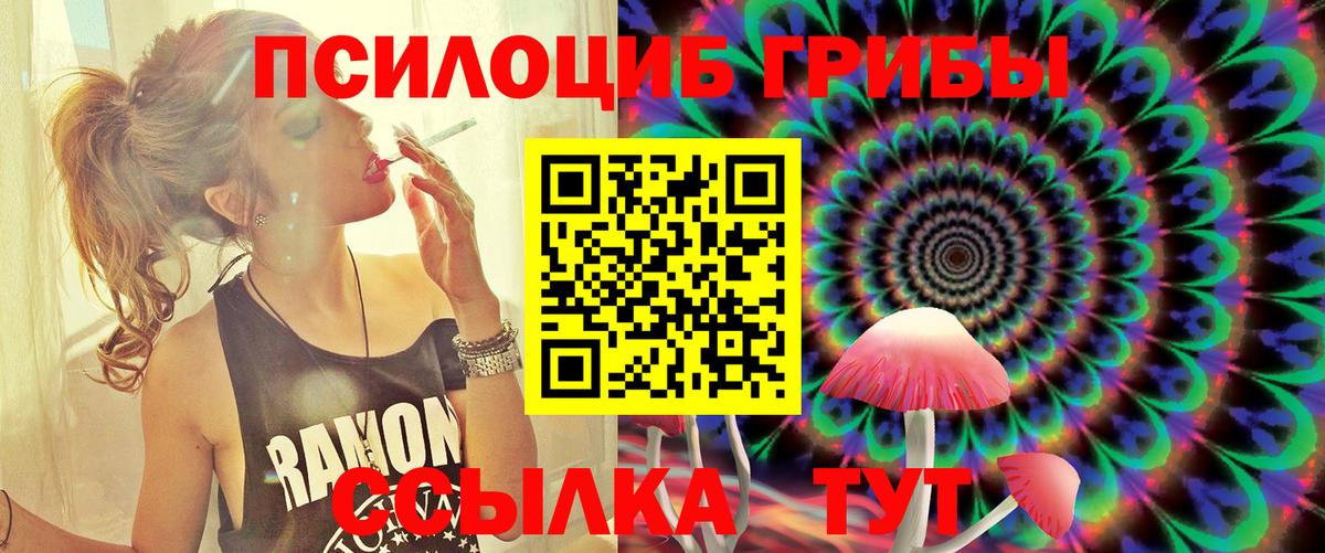 где продают   Вход с VPN  Белгород  Псилоцибиновые грибы мухоморы 